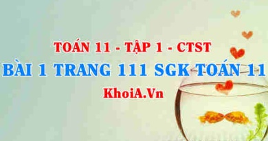 Bài 1 trang 111 SGK Toán 11 Tập 1 Chân trời sáng tạo